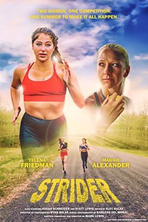 Страйдер онлайн